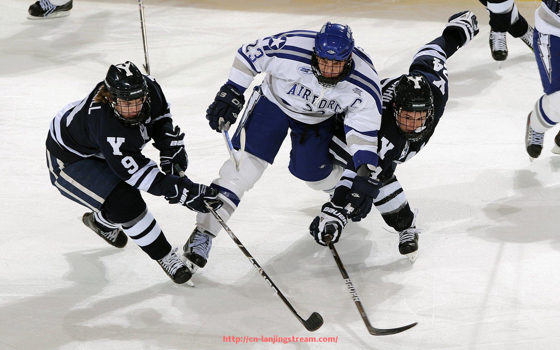 蓝鲸体育直播-建立世俱杯赛事预算超支风险监控机制的管理体系